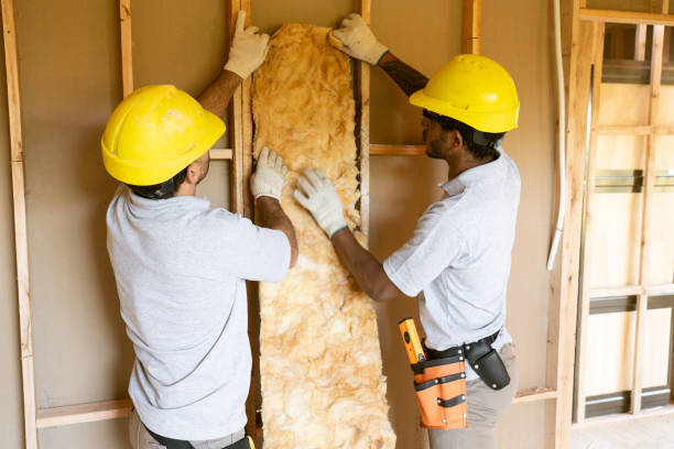 Best Batt and Roll Insulation  in Dillon, MT